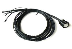 InteliVision 5 Harness-2 